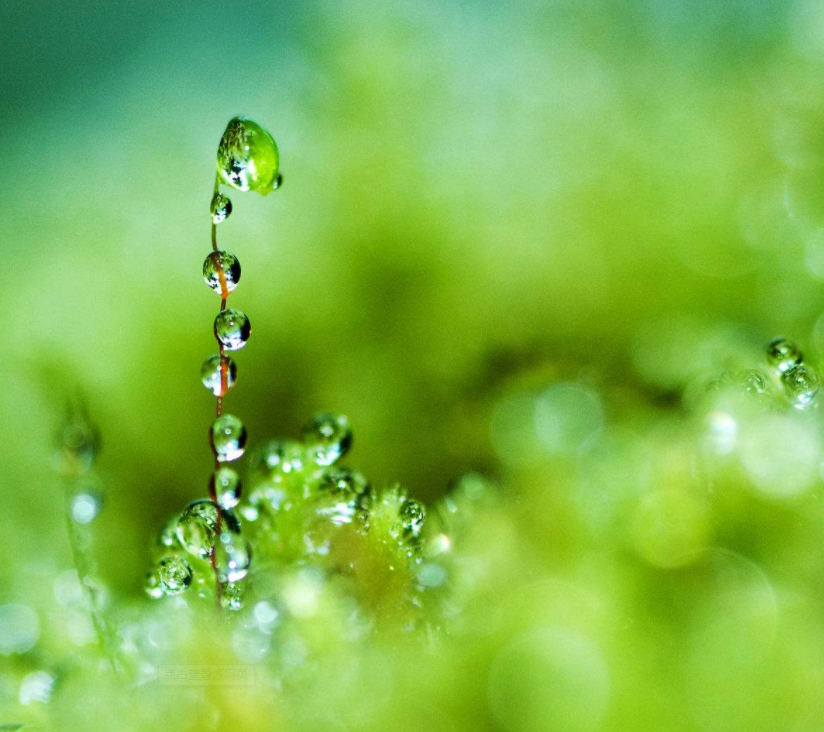 韩剧节目清脆片头音效