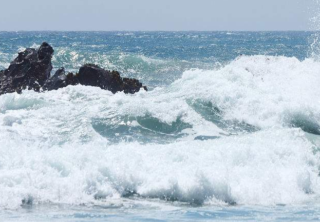 海边海浪与海鸥的声音音效