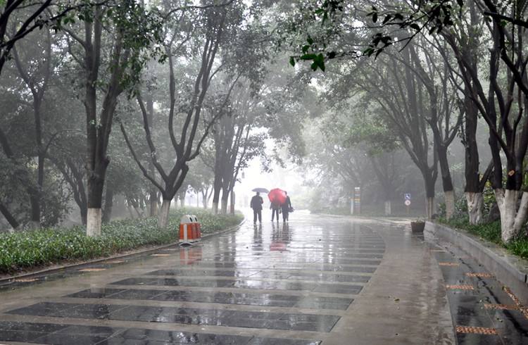 配乐音频素材_风声夹杂雨声音效