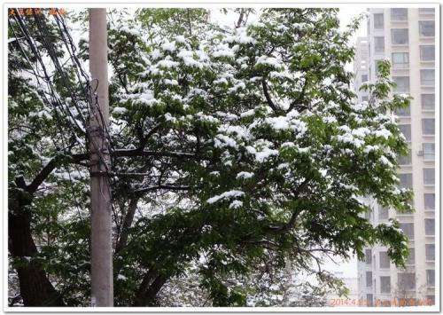 大雪时节配乐音频素材_大雪过后呜呜大风音效