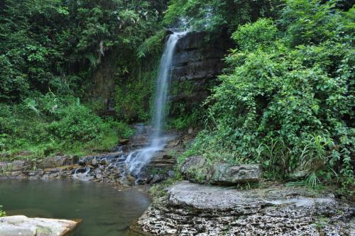 山里泉水涓涓流动音效