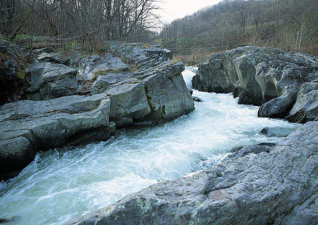 小溪莲蓬配乐音频素材_小溪流水的自然音效