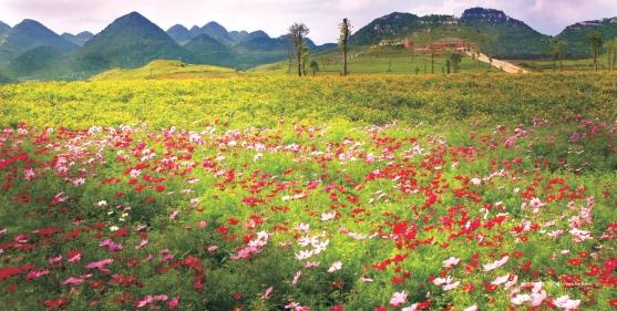 小小的花园配乐音频素材_轻松安逸的心情散步花园轻缓音效