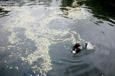 扑通落水水花溅起音效