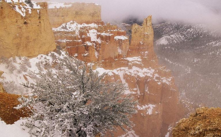 雪花装饰配乐音频素材_高山寒风吹拂雪花音效