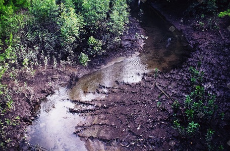 蜿蜒的泥泞小溪风景