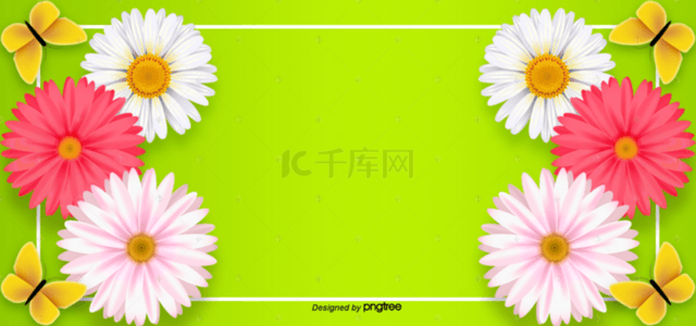 白色蝴蝶背景图片 白色蝴蝶背景素材图片 千库网 白色蝴蝶背景图片 白色蝴蝶背景素材图片 千库网
