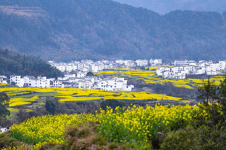 乡村风景摄影照片_乡村婺源油菜花风光摄影图