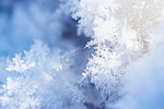 雪花形状冰晶白色积雪摄影图