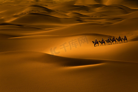 沙漠骆驼队摄影图