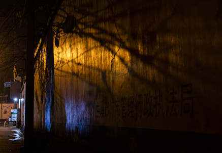 城市夜景树影墙壁摄影图