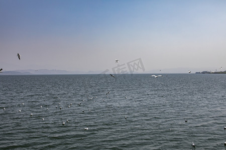 自然风景海景海岸线海水摄影图