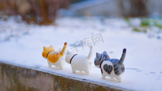 文艺雪地摄影照片_猫咪摄影图