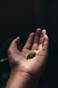 祈福免抠蜡烛摄影照片_祈福手势摄影图