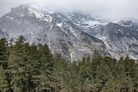 自然风景云雾雪峰森林摄影图
