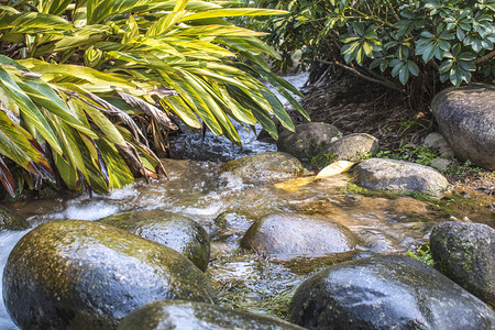 小溪流中石头自然风景摄影图