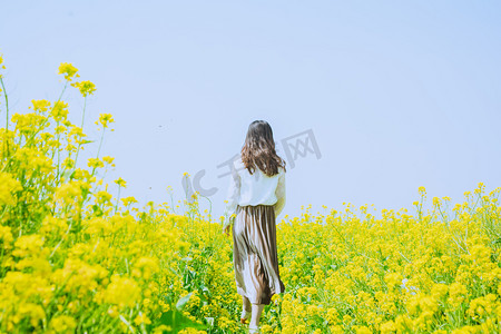 春季新品促销摄影照片_走在油菜花海中女孩摄影图