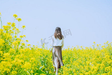 花摄影照片_走在油菜花海中女孩摄影图