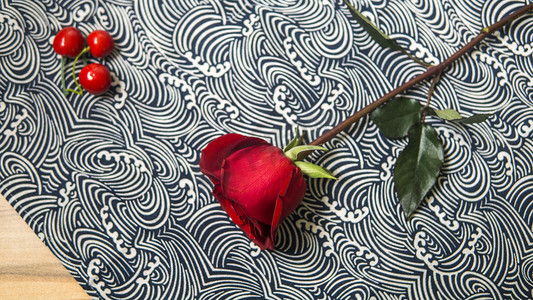 植物系列之玫瑰花摄影图