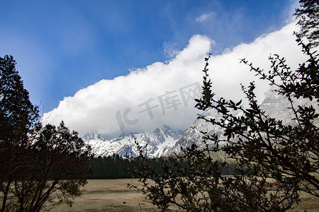 自然风景平原森林白云摄影图