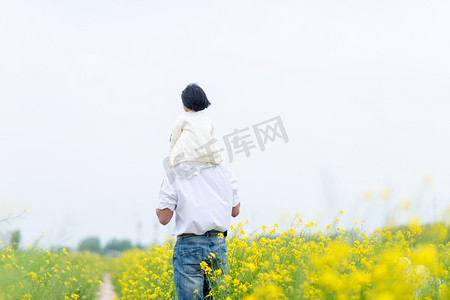 花摄影照片_父女俩走在油菜花海中