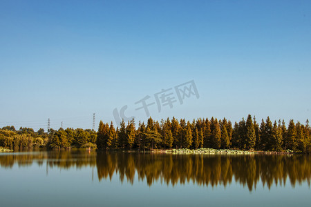 秋天湖边森林摄影图