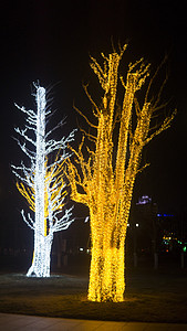 城市夜景之会发光的树木摄影图