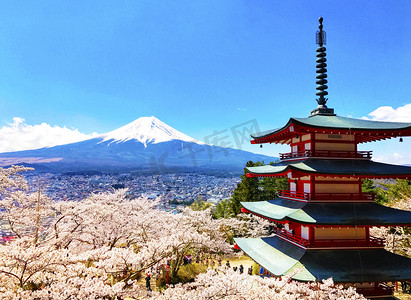 风景摄影照片_日本山顶积雪的富士山和高塔樱花摄影图