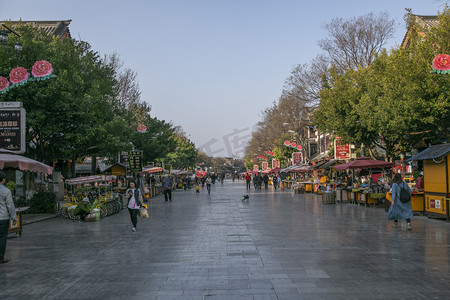 集市养猫摄影照片_云南街道街景街市景观摄影图