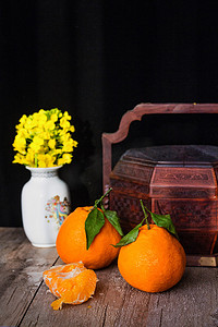 丑橘摄影照片_耙耙柑油菜花食盒摄影图