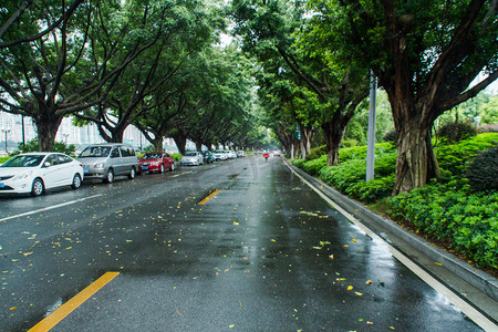 雨天摄影图