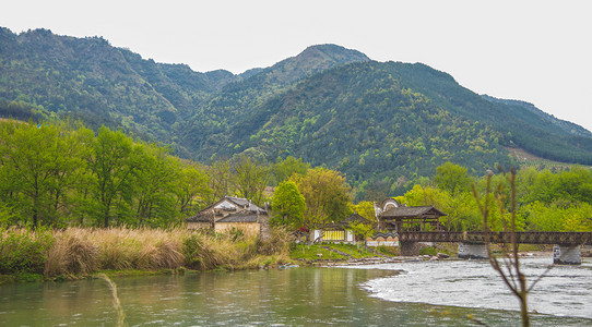 山水树木