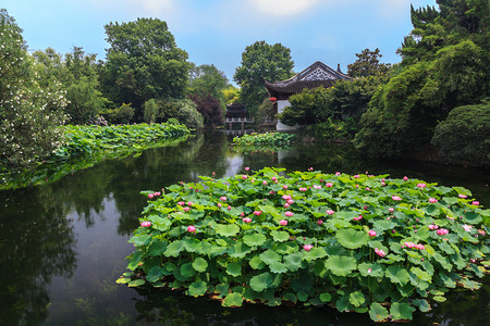 荷塘图摄影照片_夏日园林荷花池摄影图