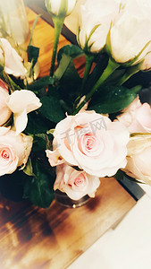 粉色浪漫玫瑰花束摄影照片_粉色玫瑰花自然风景摄影图
