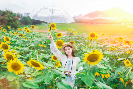 光明农场摄影照片_向日葵花海中举伞的少女