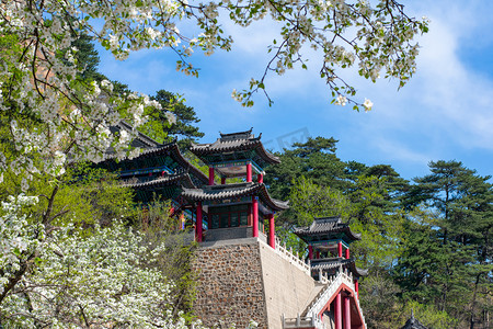 梨花适量摄影照片_千山五龙宫梨花摄影图 