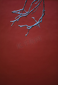 中式祥云边框纹理摄影照片_故宫红墙树枝摄影图