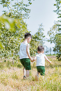 儿童西瓜摄影照片_核桃林里面走路小孩的背影