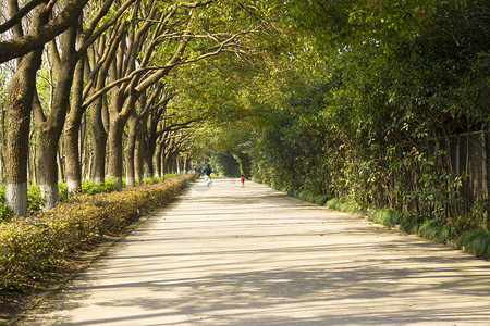 9字跑道摄影照片_公园跑道风景摄影图