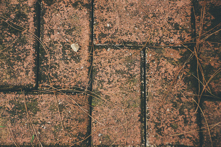 石头素材摄影照片_地上红砖纹理素材