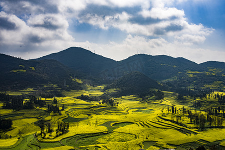 罗平油菜花海自然风景摄影图