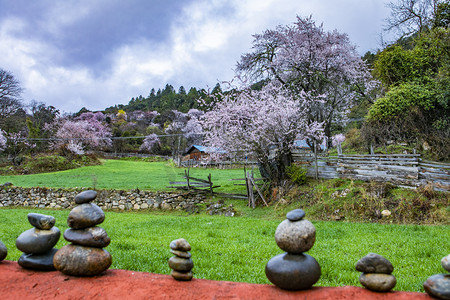 西藏林芝风景摄影图