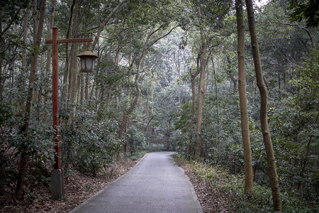 乡村山间幽径摄影图