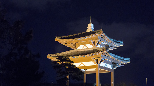 城市夜景系列之夜晚的古典楼阁摄影图