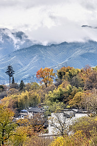 红叶树木和山脉摄影图
