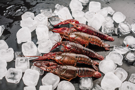 美食冰块小龙虾摄影图