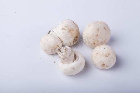  白色口蘑蘑菇摄影图 