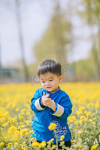 春分出游摄影照片_油菜花地里面的小男孩