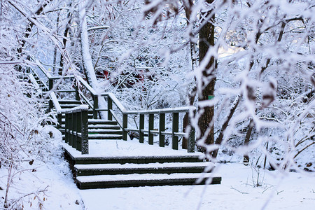 雪后木栈道摄影图