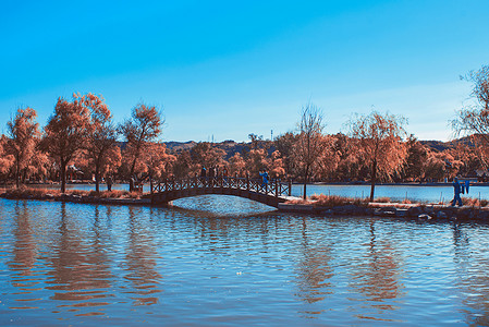 水天一色摄影照片_坐落水上木质小拱桥摄影图